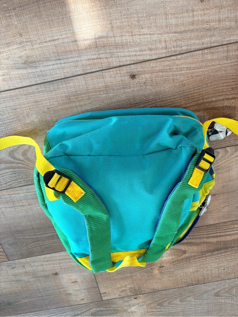 Skip Hop preschool Green Chameleon Kids Backpack
